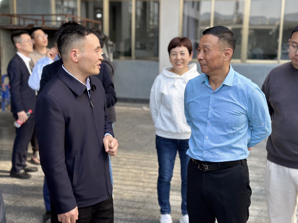 Striving Forward in Care - Mayor Huang Shengke Visits Dongyang Zhongzhen Permanent Magnet for Inspection and Guidance Work